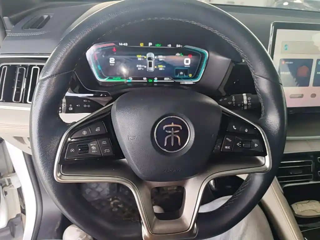BYD PLUS New Energy — фото 11