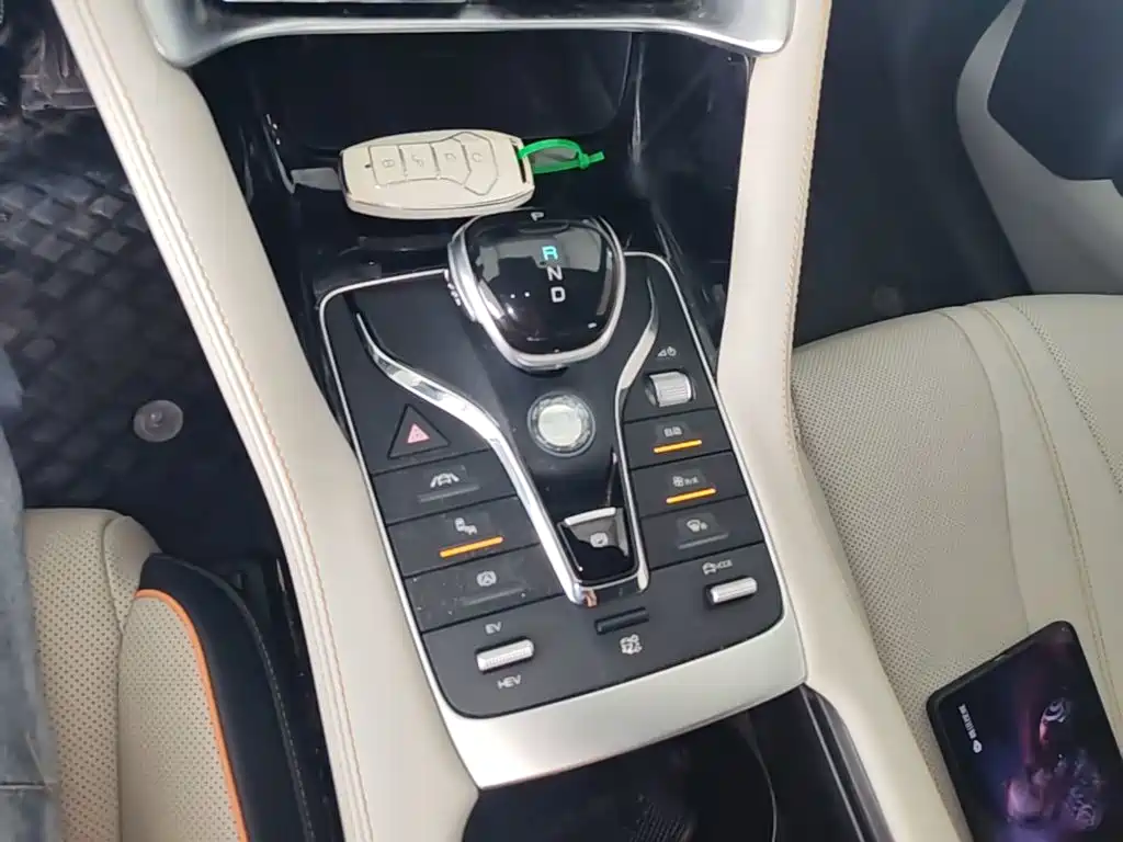 BYD PLUS New Energy — фото 14