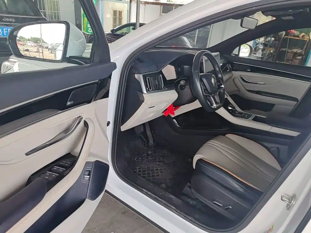BYD PLUS New Energy — фото 16