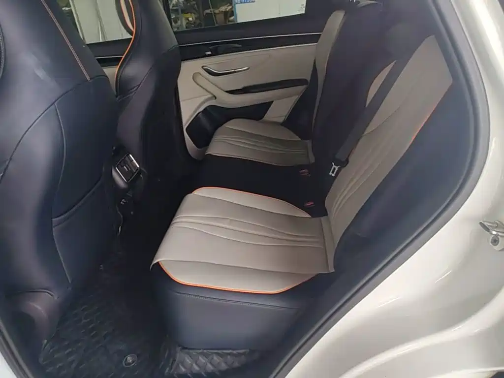 BYD PLUS New Energy — фото 17