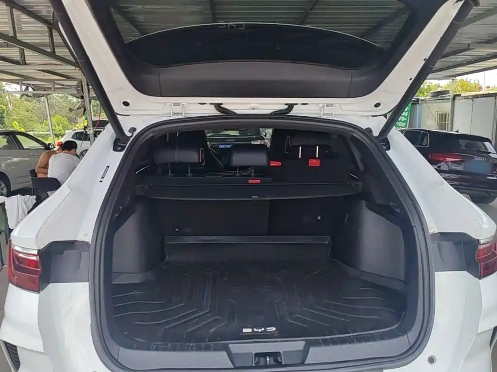 BYD PLUS New Energy — фото 19