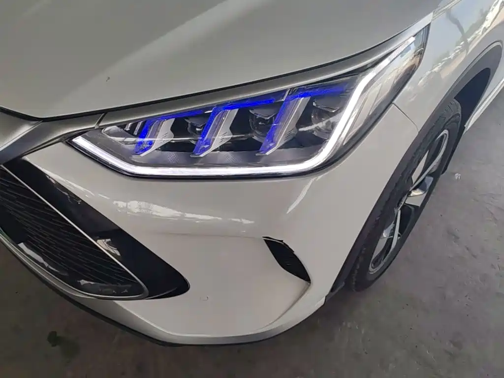 BYD PLUS New Energy — фото 24