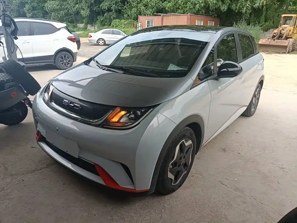 BYD Dolphin
