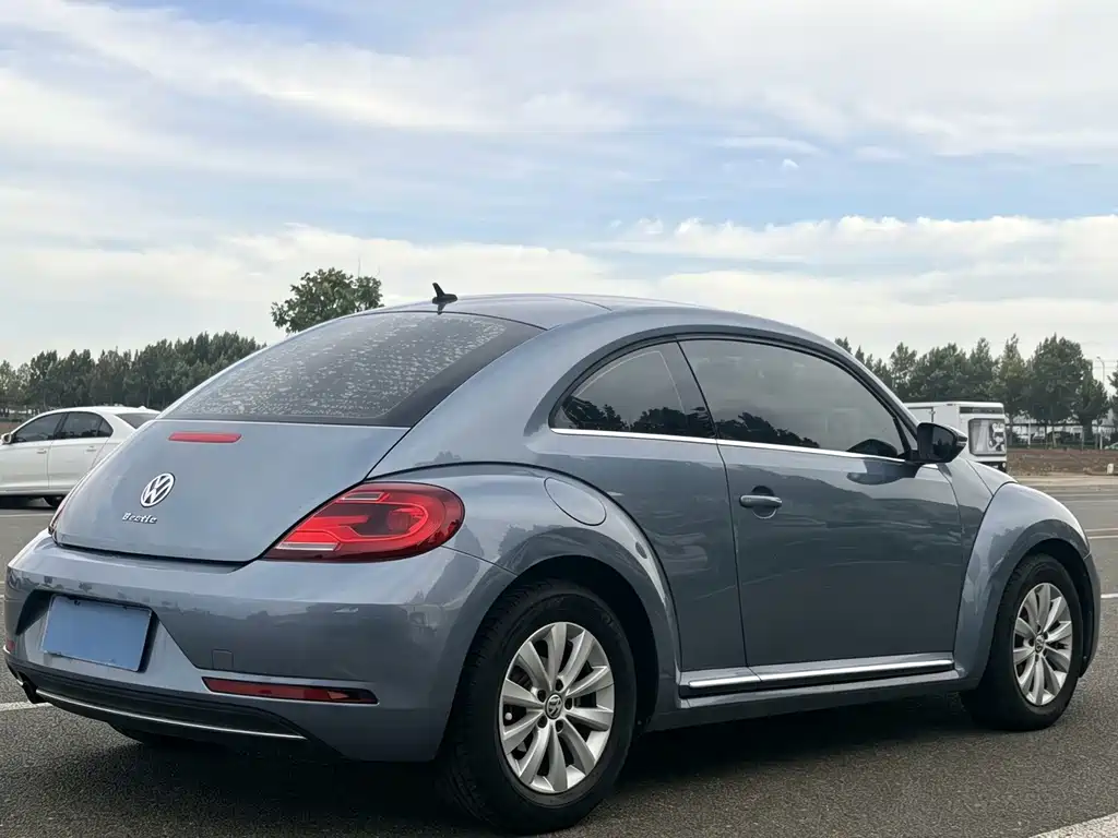 Volkswagen Beetle — фото 9