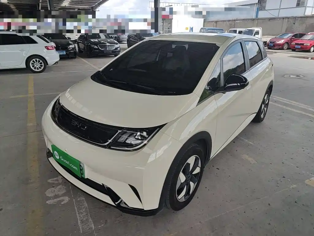 BYD Dolphin
