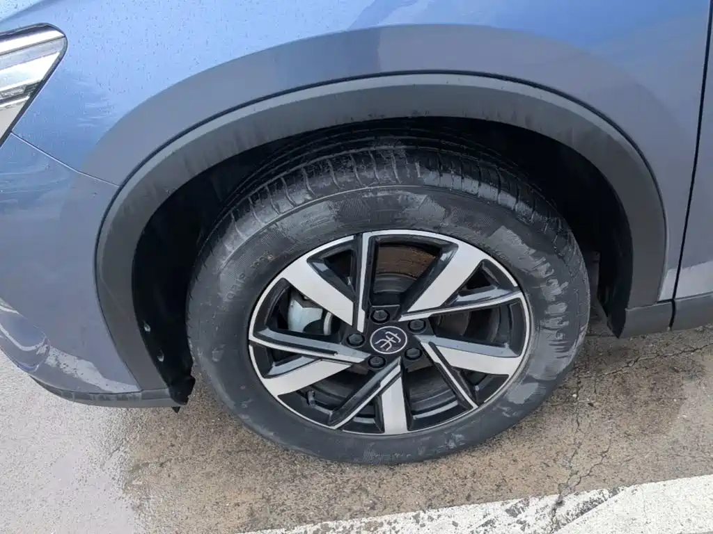 BYD Pro New Energy — фото 23