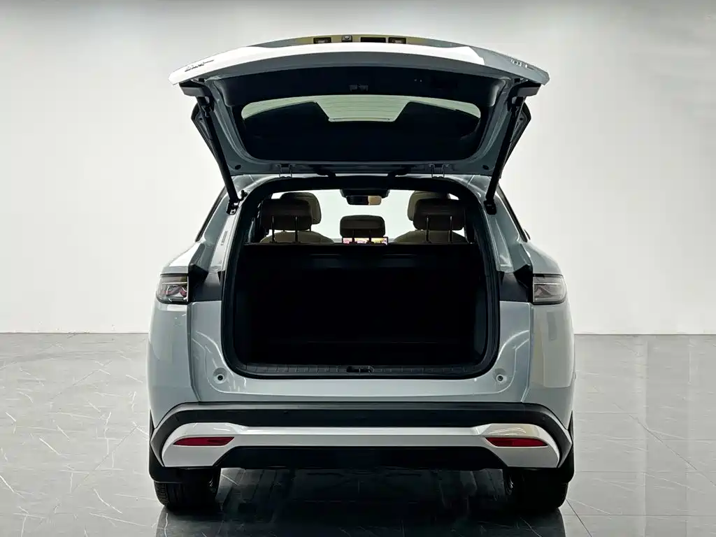 BYD L DM-i — фото 11