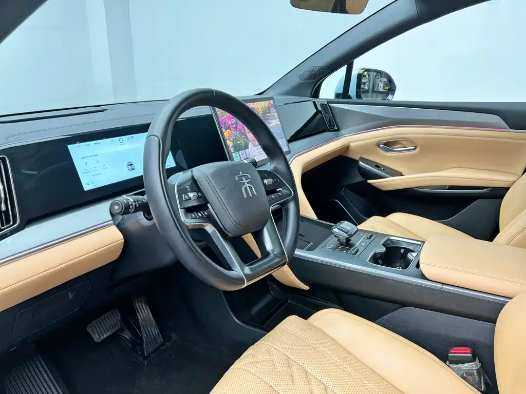 BYD L DM-i — фото 14