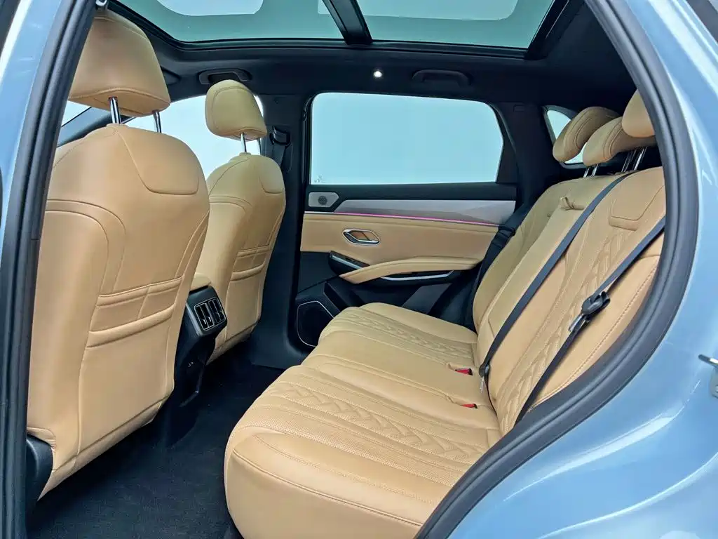 BYD L DM-i — фото 16