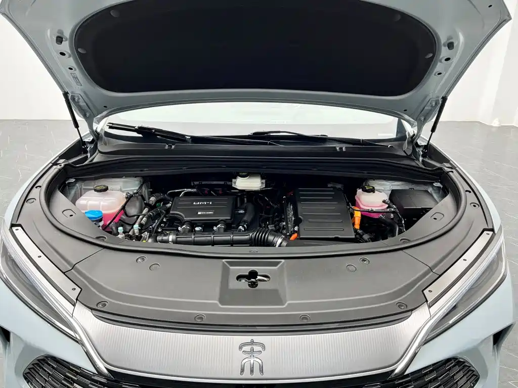 BYD L DM-i — фото 25