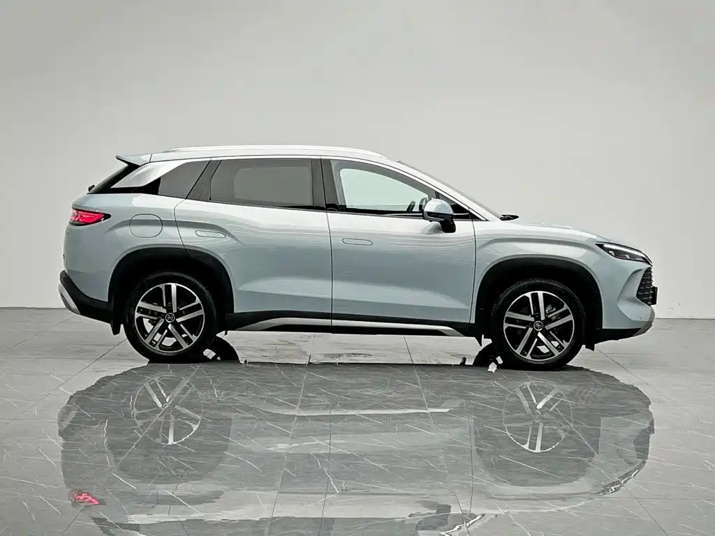 BYD L DM-i — фото 7