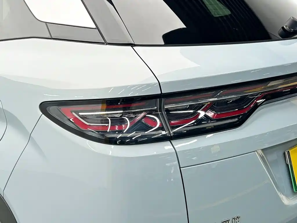 BYD L DM-i — фото 10