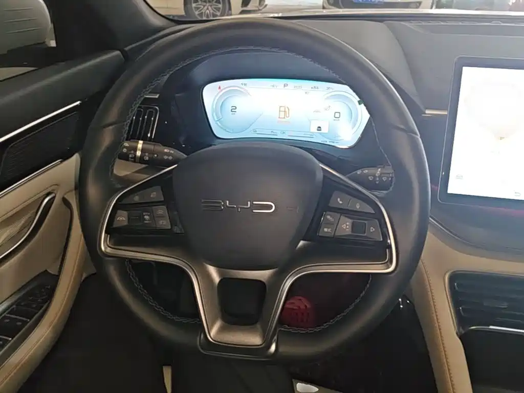 BYD PLUS New Energy — фото 11