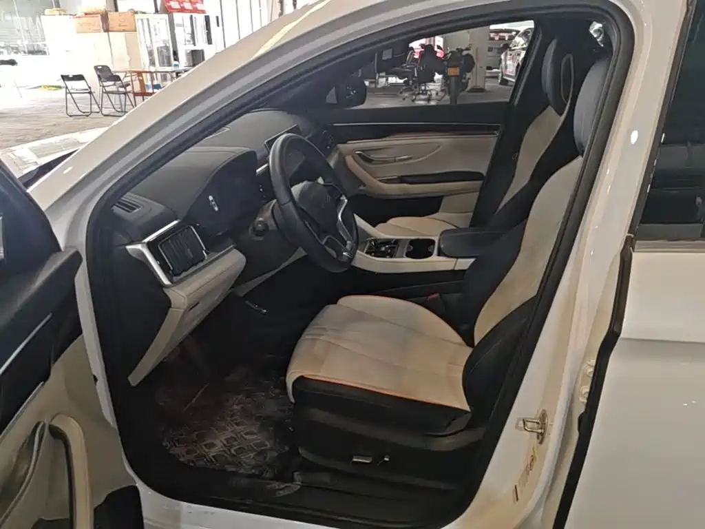 BYD PLUS New Energy — фото 15