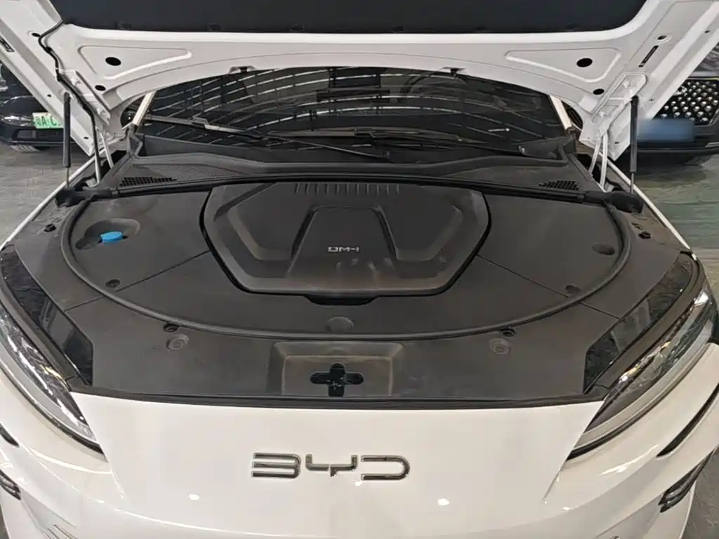 BYD PLUS New Energy — фото 20