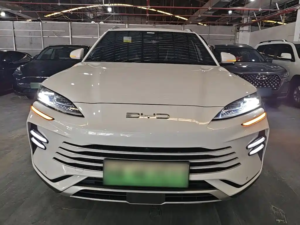 BYD PLUS New Energy — фото 3