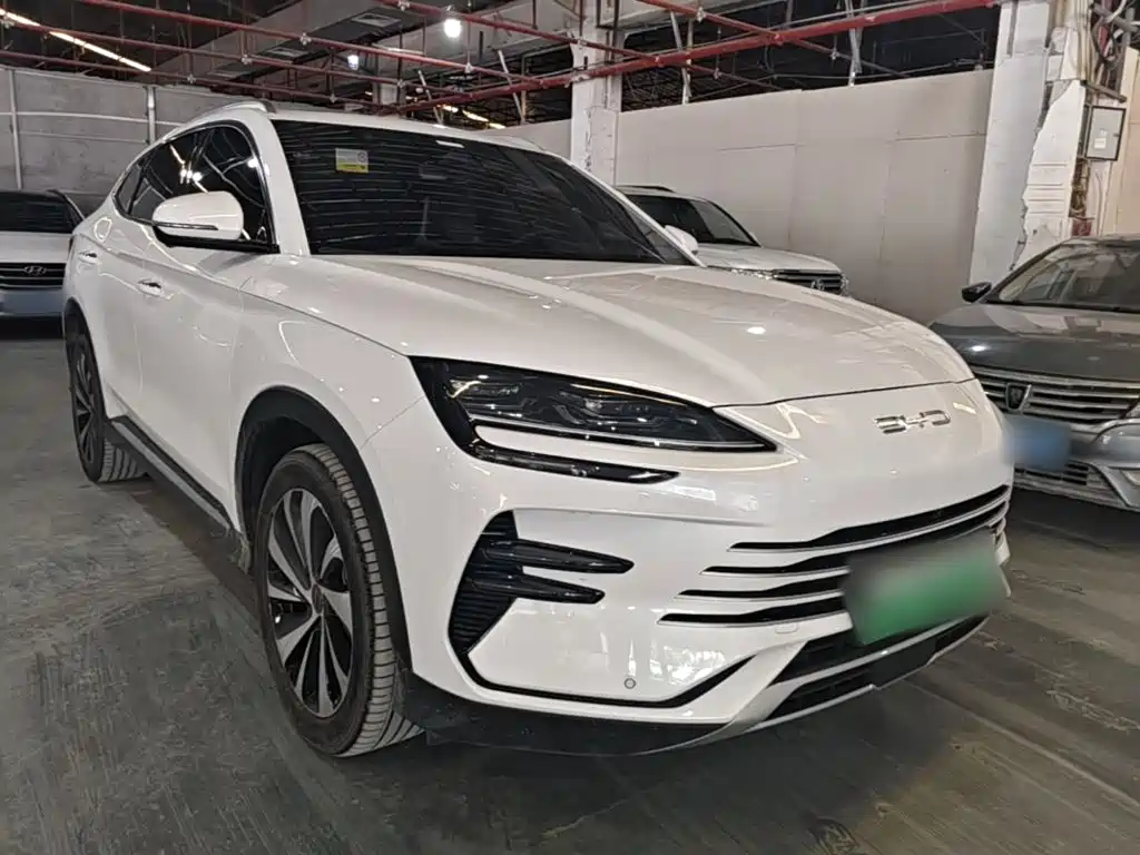 BYD PLUS New Energy — фото 4