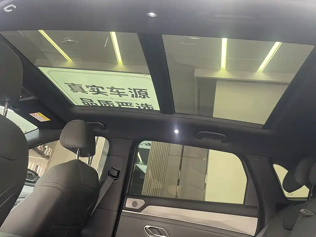 BYD L DM-i — фото 13