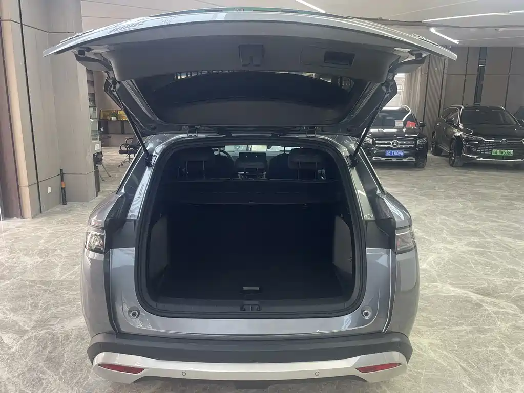 BYD L DM-i — фото 8