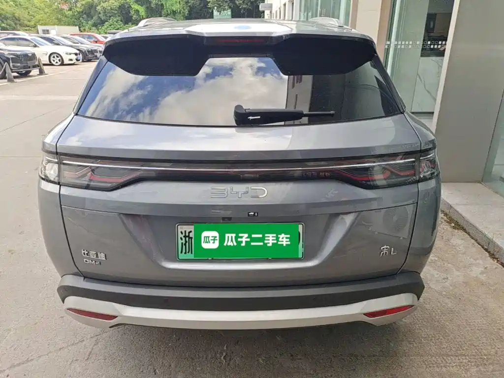BYD L DM-i — фото 6