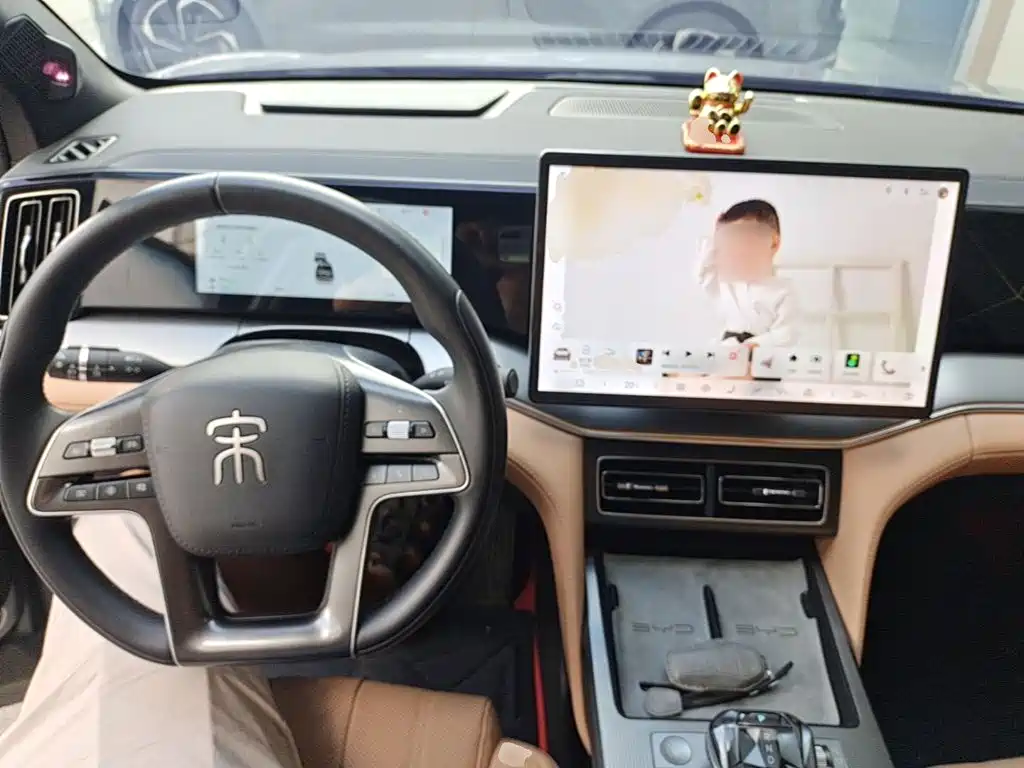 BYD L DM-i — фото 10