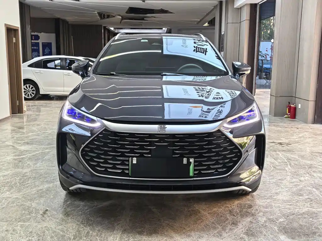 BYD Tang New Energy — фото 2