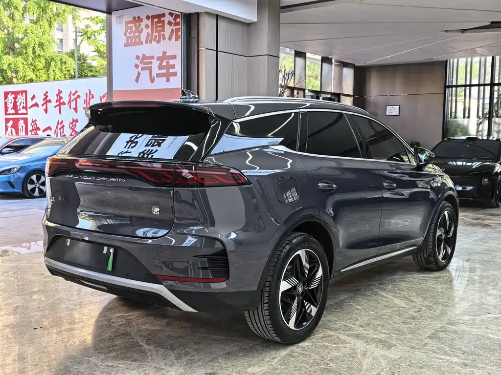 BYD Tang New Energy — фото 7