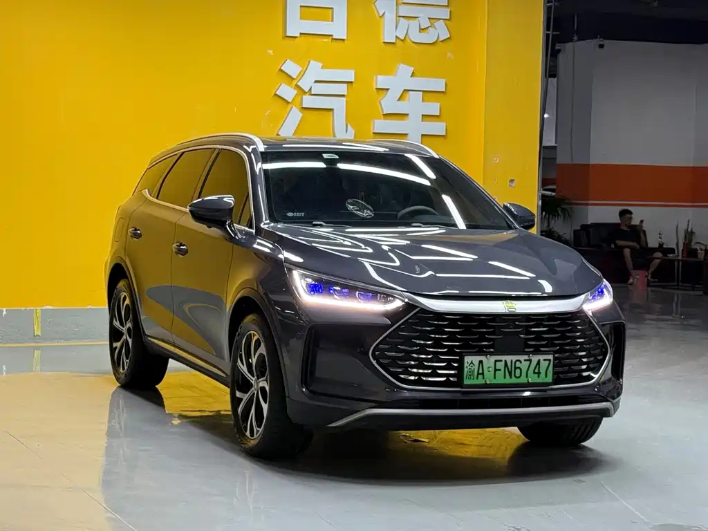 BYD Tang New Energy — фото 3