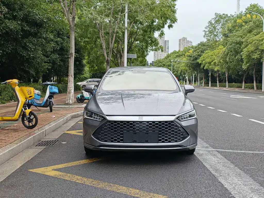 BYD Qin PLUS — фото 2