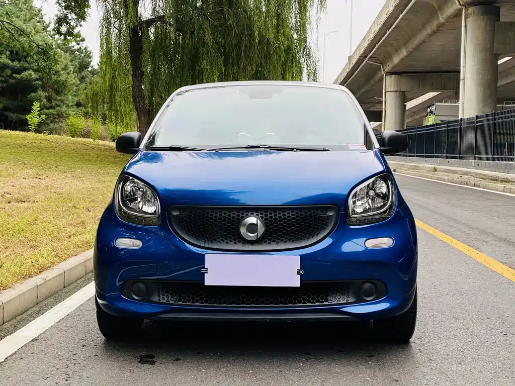 smart Smart Forfour — фото 2