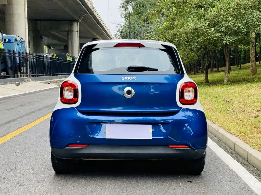 smart Smart Forfour — фото 14