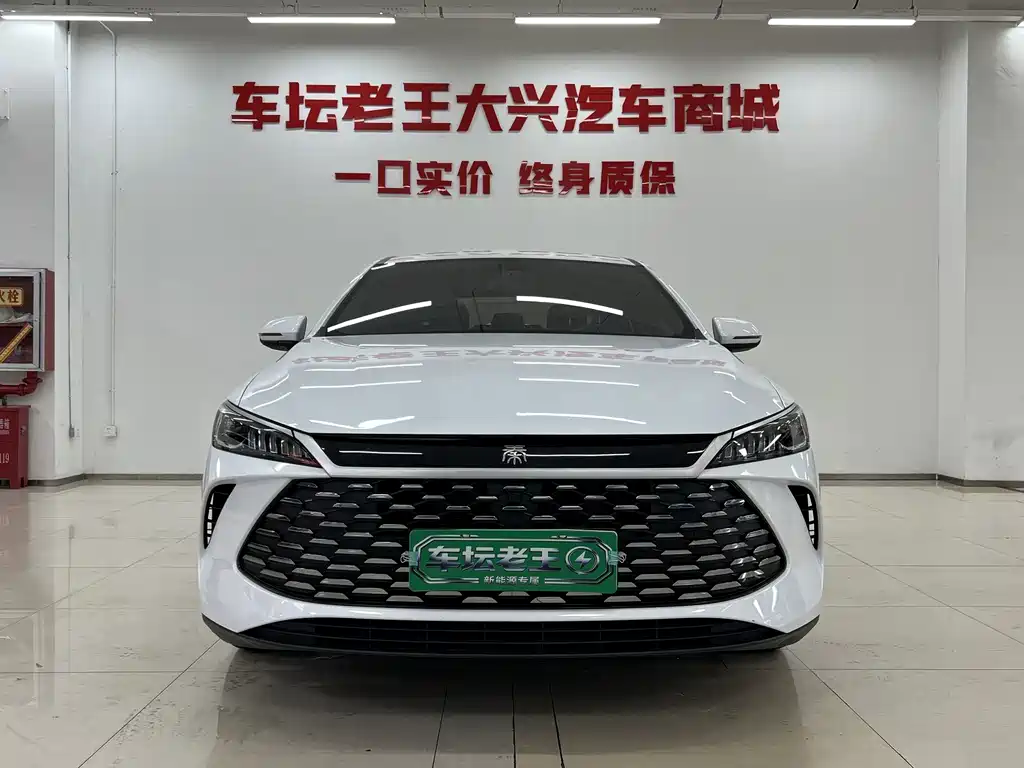 BYD Qin PLUS — фото 2