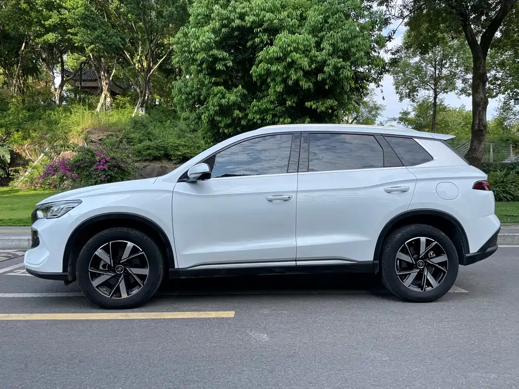 BYD Pro New Energy — фото 4