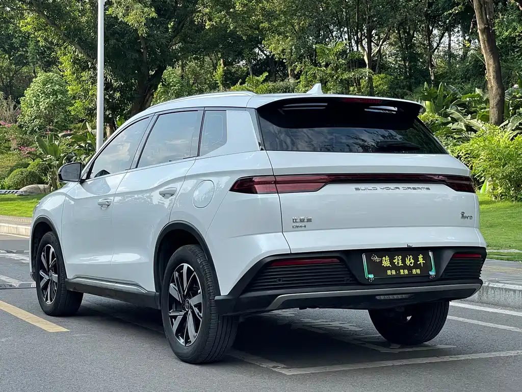 BYD Pro New Energy — фото 5