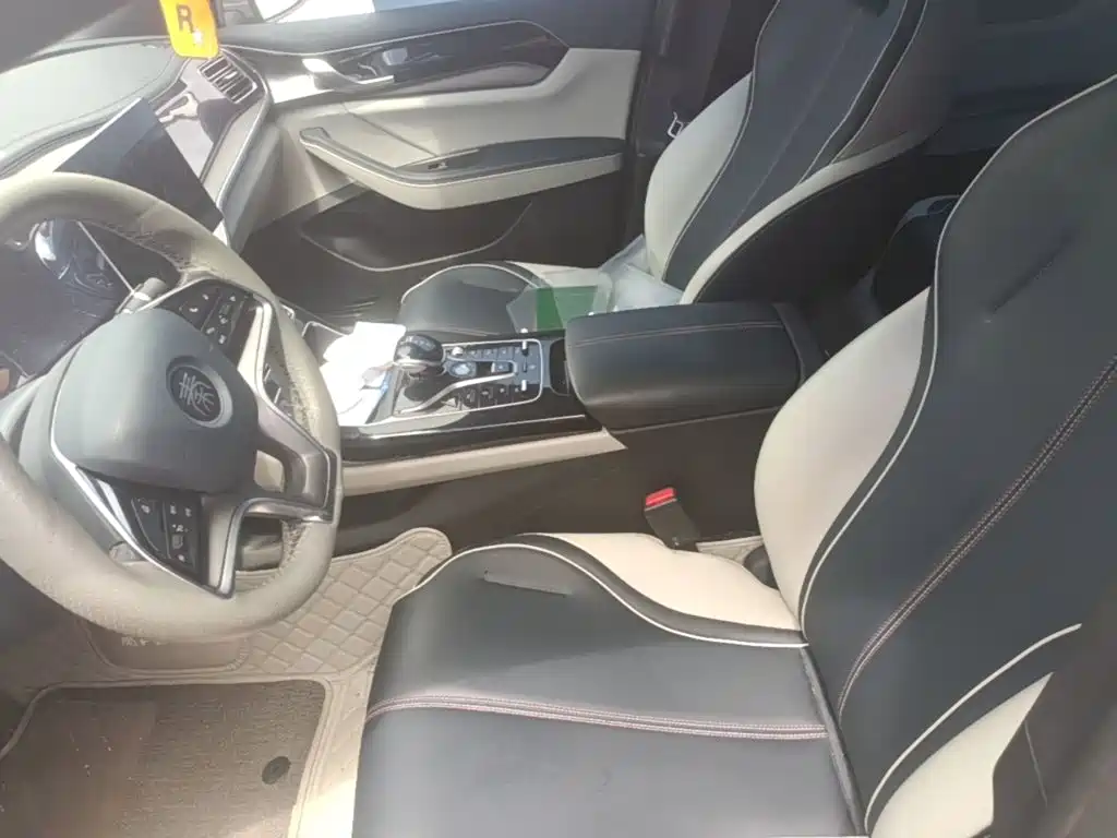 BYD Qin PLUS — фото 15