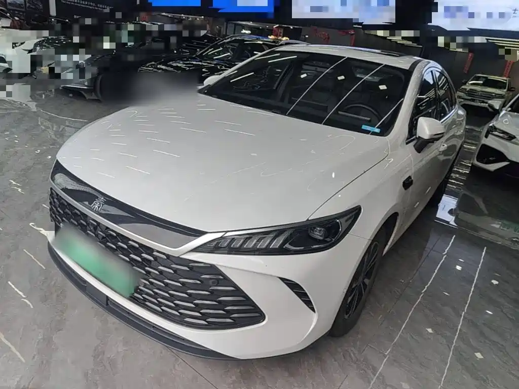 BYD Qin PLUS — фото 2