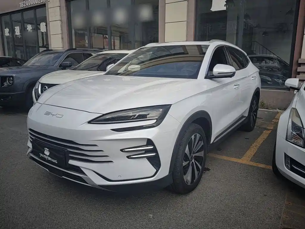 BYD PLUS New Energy — фото 2