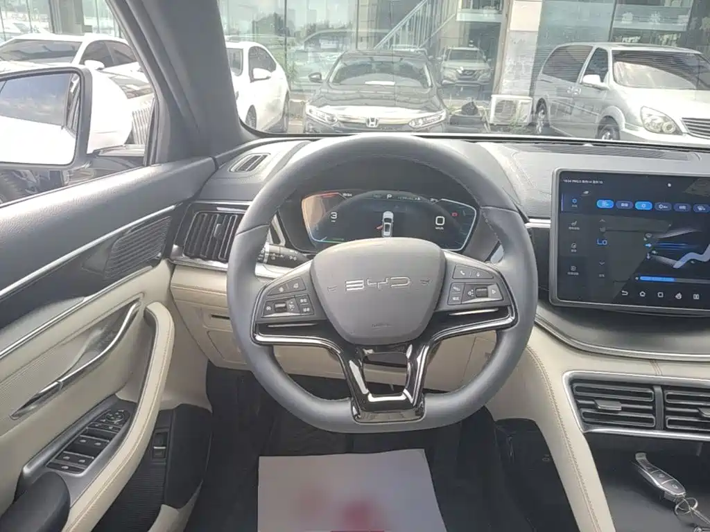 BYD PLUS New Energy — фото 11