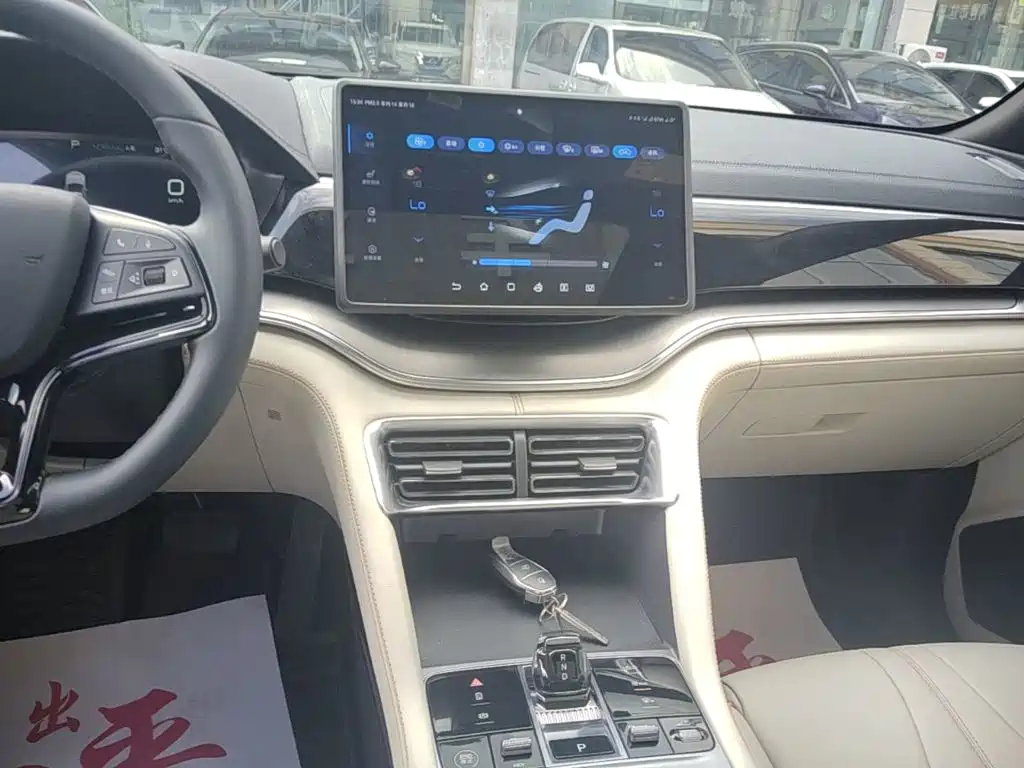 BYD PLUS New Energy — фото 13