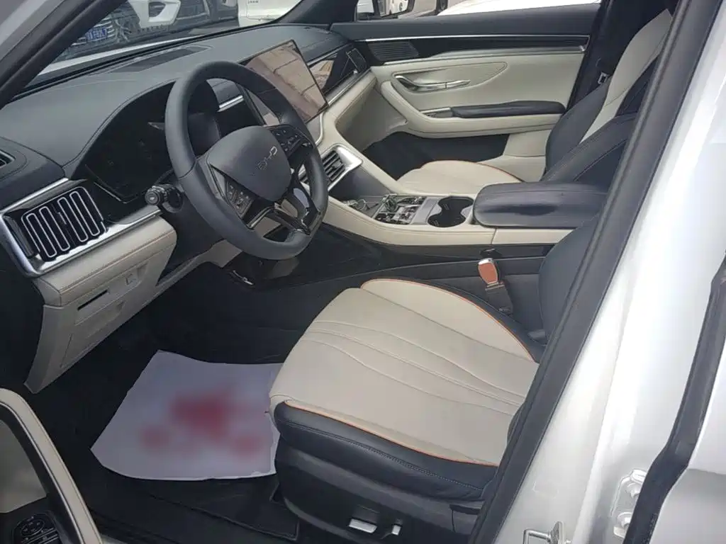 BYD PLUS New Energy — фото 15