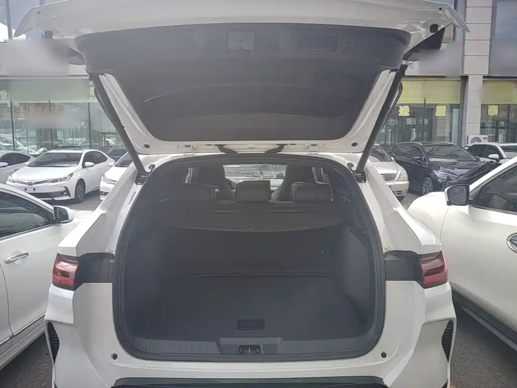BYD PLUS New Energy — фото 19