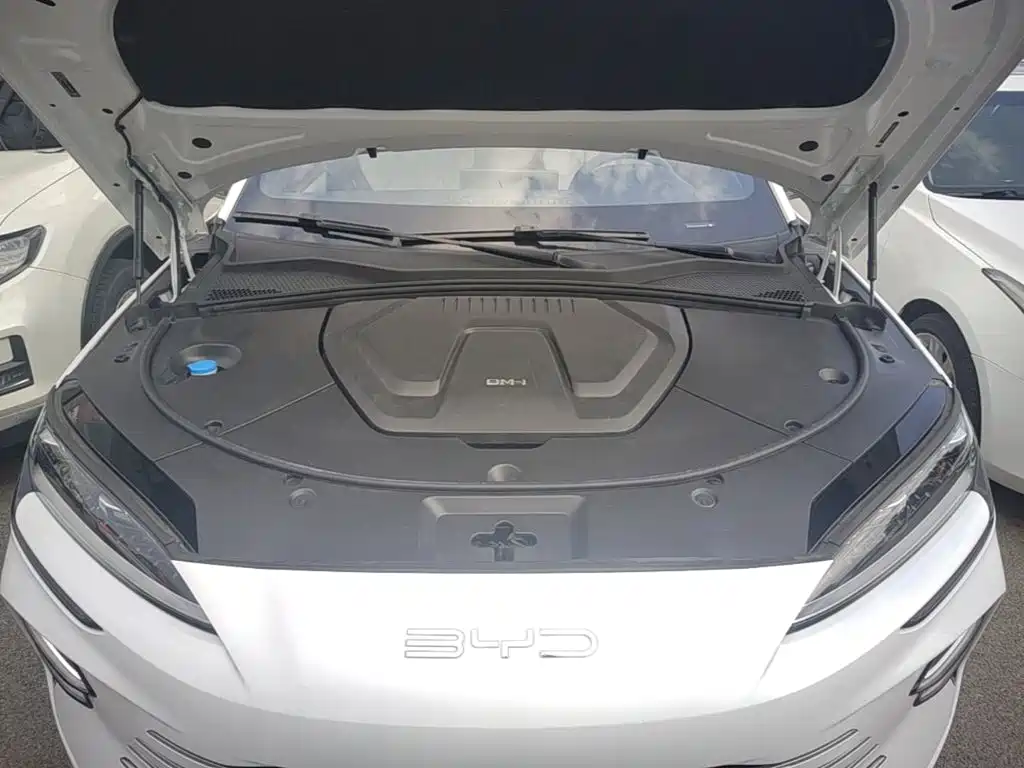 BYD PLUS New Energy — фото 20