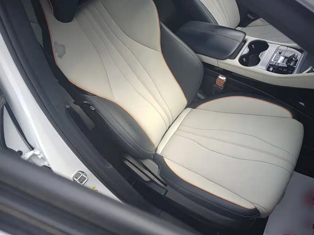 BYD PLUS New Energy — фото 25