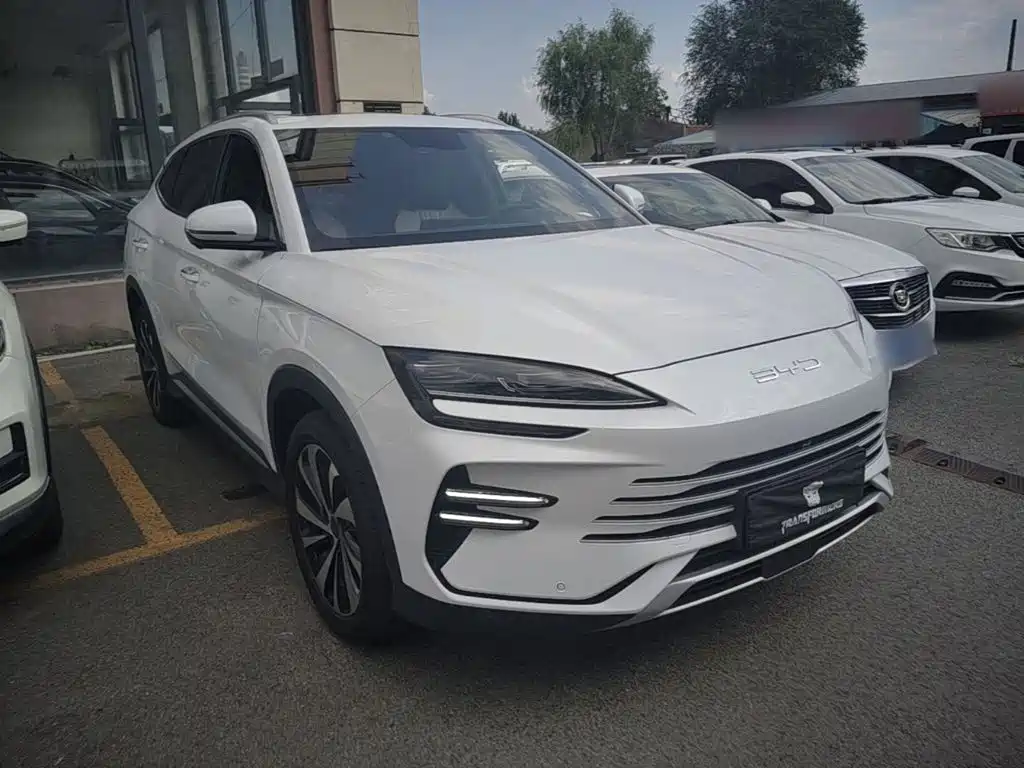 BYD PLUS New Energy — фото 4