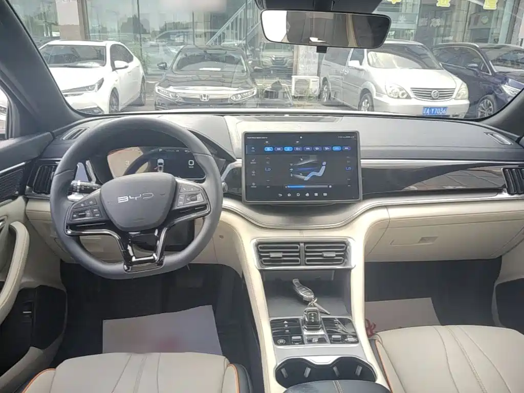 BYD PLUS New Energy — фото 10