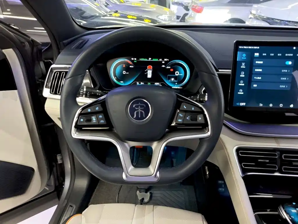 BYD PLUS New Energy — фото 11