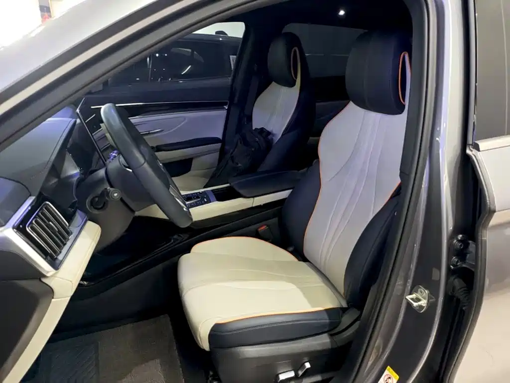 BYD PLUS New Energy — фото 15