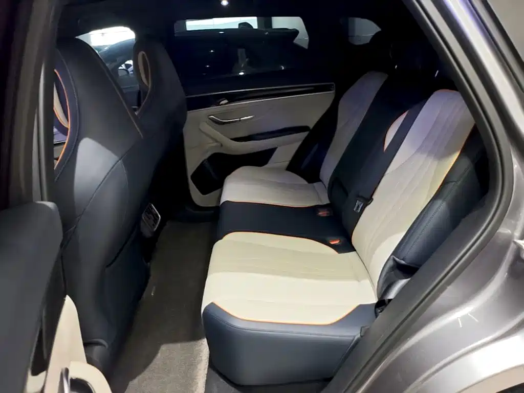 BYD PLUS New Energy — фото 17