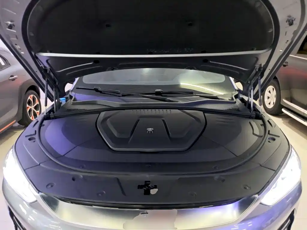 BYD PLUS New Energy — фото 20