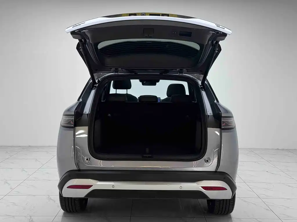 BYD L DM-i — фото 15